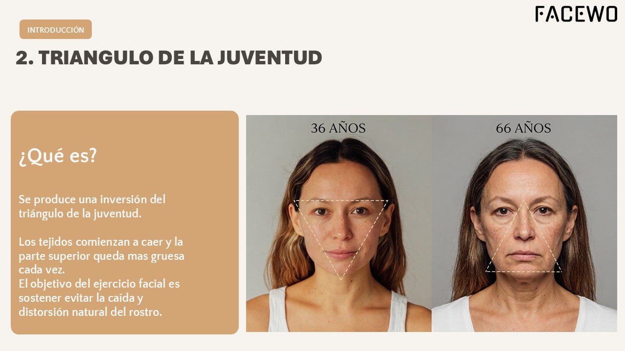 Guía ejercicios FACE WORKOUT