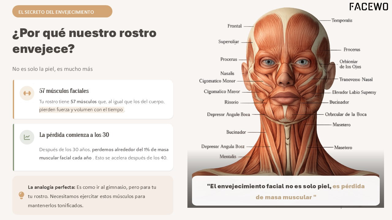 Guía ejercicios FACE WORKOUT